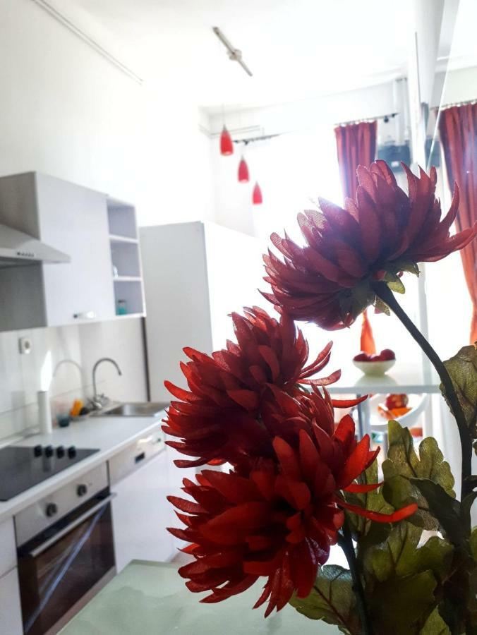 Apartment Zrinjevac ザグレブ エクステリア 写真